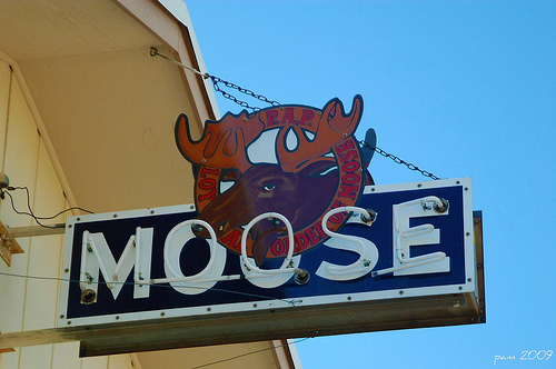 moose lodge